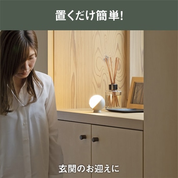 てのりまんまるセンサーライト ムサシ