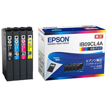 IB09CL4A 純正インクカートリッジ EPSON IB09 電卓 EPSON 64062636