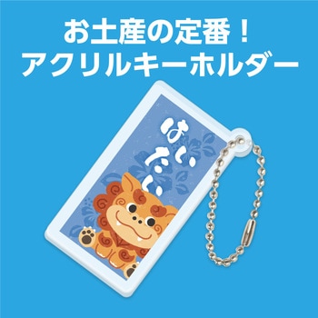 沖縄アクリルキーホルダー アーテック[学校教材・教育玩具]