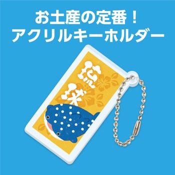 沖縄アクリルキーホルダー アーテック[学校教材・教育玩具]