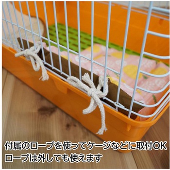 Bunny Room ふわふわガーデン - ドギーマン