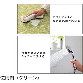 洗える カーペット ラグ 国産 除菌スプレー対応 アウトドア ペット イケヒコ・コーポレーション