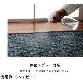 洗える カーペット ラグ 国産 除菌スプレー対応 アウトドア ペット イケヒコ・コーポレーション