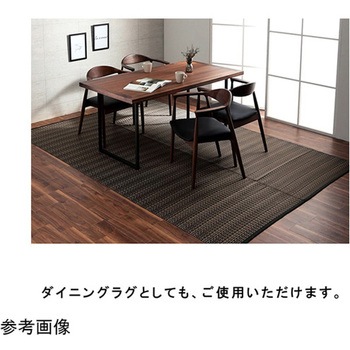 洗える カーペット ラグ 国産 除菌スプレー対応 アウトドア ペット イケヒコ・コーポレーション