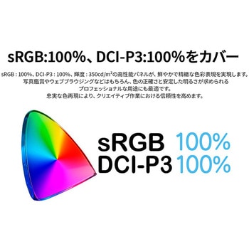 ディスプレイ13.3型/1920×1080/miniHDMI×1、USB-C×2/ブラック/スピーカー有/2年保証 JAPANNEXT