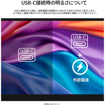 ディスプレイ13.3型/1920×1080/miniHDMI×1、USB-C×2/ブラック/スピーカー有/2年保証 JAPANNEXT