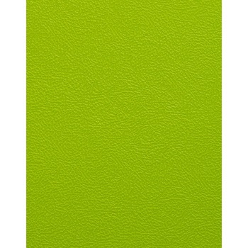 ハンギングチェア LION (ライオン事務器)