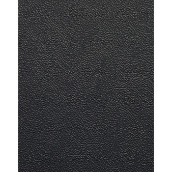 ハンギングチェア LION (ライオン事務器)