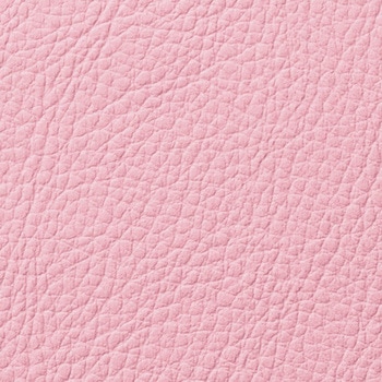 木製イス LION (ライオン事務器)