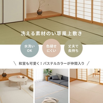 洗えるい草風カーペット 萩原