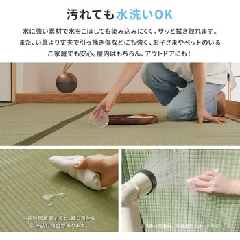 洗えるい草風カーペット 萩原