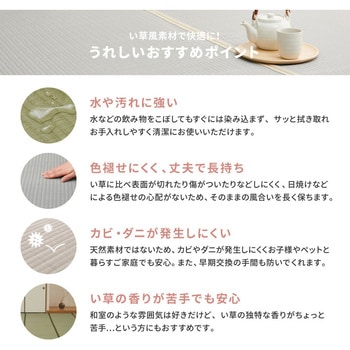 洗えるい草風カーペット 萩原