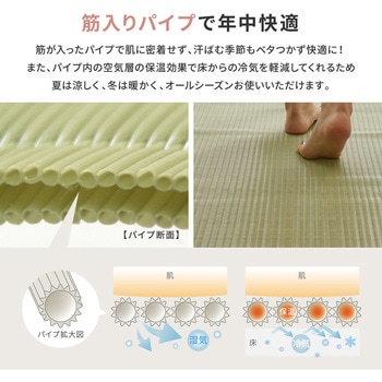洗えるい草風カーペット 萩原
