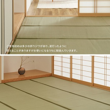 洗えるい草風カーペット 萩原