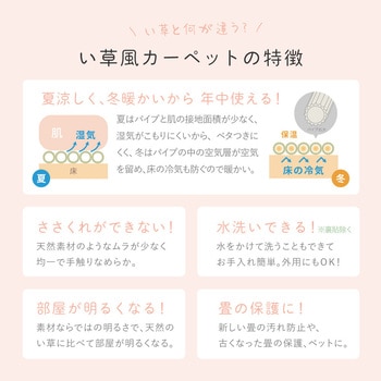 洗えるい草風カーペット モンド - 萩原