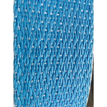 ダンゼックスライトベルト 青 泰興