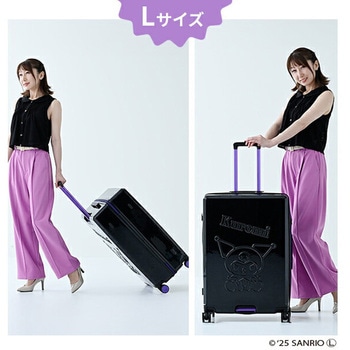 スーツケース キャリーケース TSAロック 軽量 K.K物産