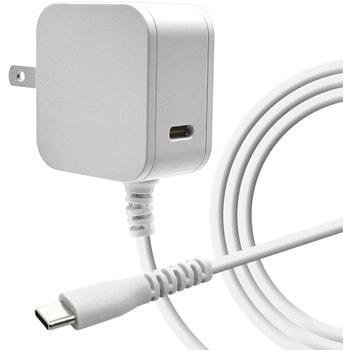 AC充電器 ケーブル直付 ラスタバナナ