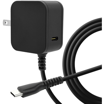 AC充電器 ケーブル直付 ラスタバナナ