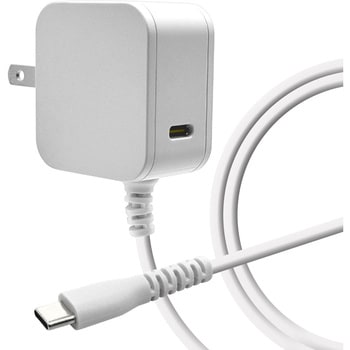 AC充電器 ケーブル直付 ラスタバナナ