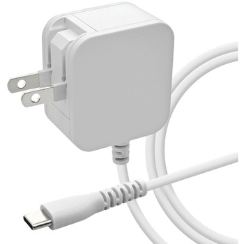 AC充電器 ケーブル直付 ラスタバナナ