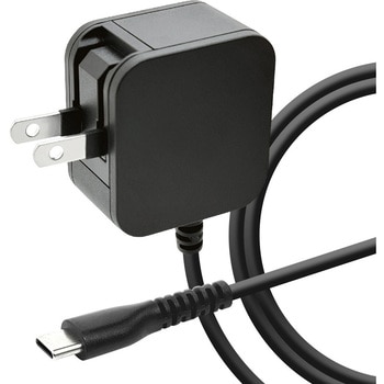 AC充電器 ケーブル直付 ラスタバナナ