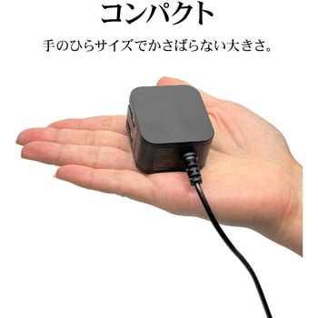 AC充電器 ケーブル直付 ラスタバナナ