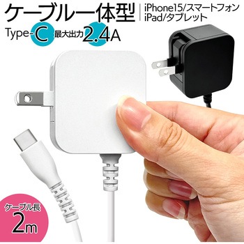 AC充電器 ケーブル直付 ラスタバナナ