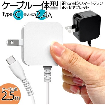 AC充電器 ケーブル直付 ラスタバナナ