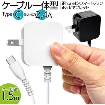 AC充電器 ケーブル直付 ラスタバナナ