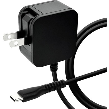 AC充電器 ケーブル直付 ラスタバナナ