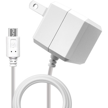 AC充電器 ケーブル直付 ラスタバナナ