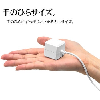 AC充電器 ケーブル直付 ラスタバナナ