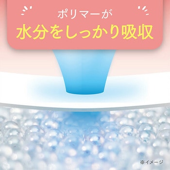 ポイズ さらさら吸水 吸水ナプキン 70cc 無香料 日本製紙クレシア