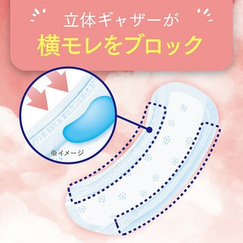 ポイズ さらさら吸水 吸水ナプキン 70cc 無香料 日本製紙クレシア