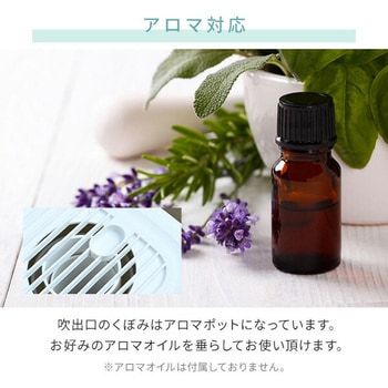 スチーム式加湿器 上部給水 YAMAZEN(山善)