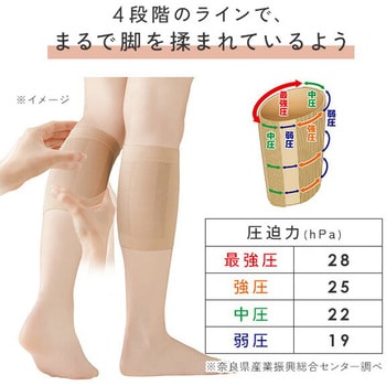 ショートMOMI×2 (2枚組) ショートタイプ 日本製 メイダイ