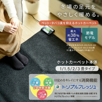 空気をキレイにする ホットカーペット YAMAZEN(山善)