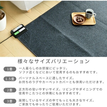 空気をキレイにする ホットカーペット YAMAZEN(山善)