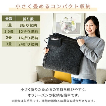 空気をキレイにする ホットカーペット YAMAZEN(山善)