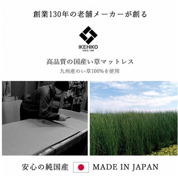 マットレス 三つ折り カビ防止 置き畳 軽量 こたつ敷 フロアマット イケヒコ・コーポレーション