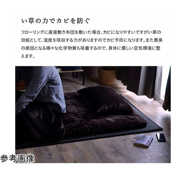 マットレス 三つ折り カビ防止 置き畳 軽量 こたつ敷 フロアマット イケヒコ・コーポレーション