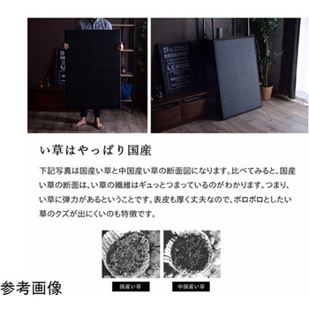 マットレス 三つ折り カビ防止 置き畳 軽量 こたつ敷 フロアマット イケヒコ・コーポレーション