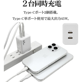AC充電器 - ラスタバナナ