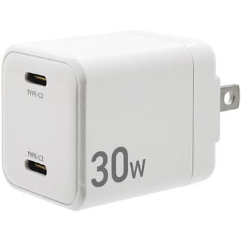 AC充電器 - ラスタバナナ