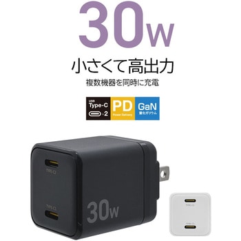 AC充電器 - ラスタバナナ