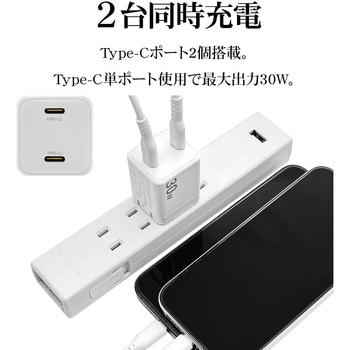 AC充電器 - ラスタバナナ