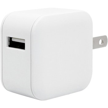 AC充電器 ラスタバナナ