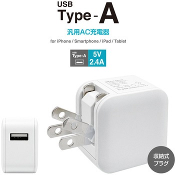 AC充電器 ラスタバナナ