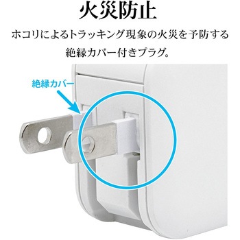 AC充電器 ラスタバナナ